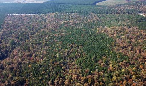 calf_creek_preserve_tracts_i_j_k_l_o