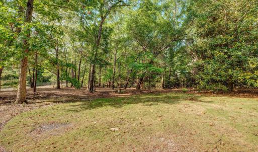 813GullPointRoadMarsh-1