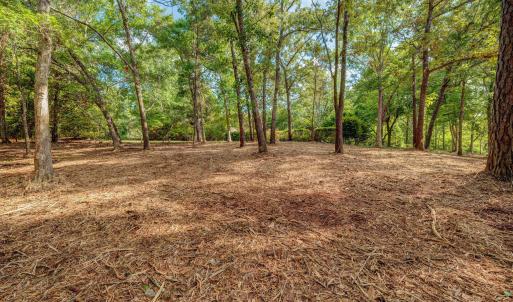 813GullPointRoadMarsh-3