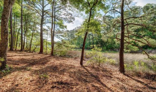 813GullPointRoadMarsh-4