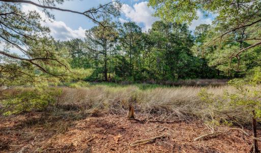 813GullPointRoadMarsh-5