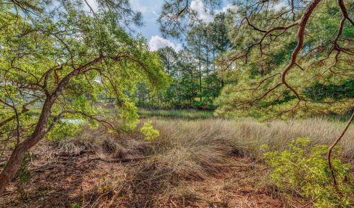 813GullPointRoadMarsh-7