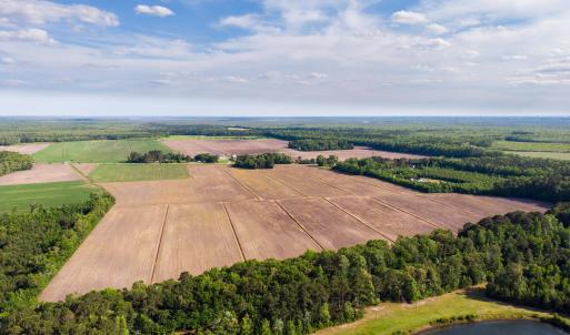 DJI_0884-2