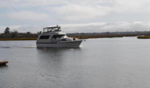 Sea Trail (22) - Copy - Copy