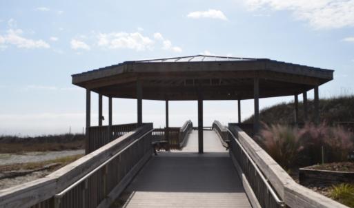 Sea Trail (32) - Copy - Copy