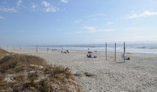 Sea Trail (33) - Copy - Copy