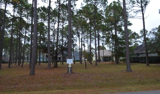 Sea Trail (12) - Copy - Copy