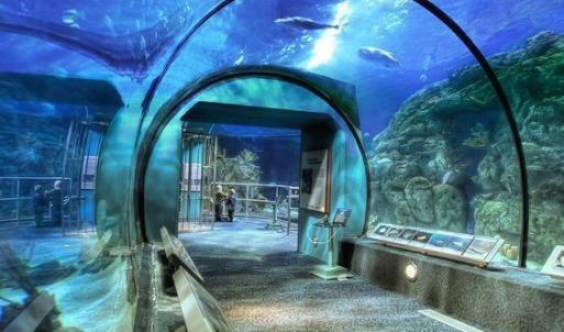 Myrtle Beach Aquarium