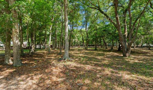 1312 Harbour Watch Lot 9