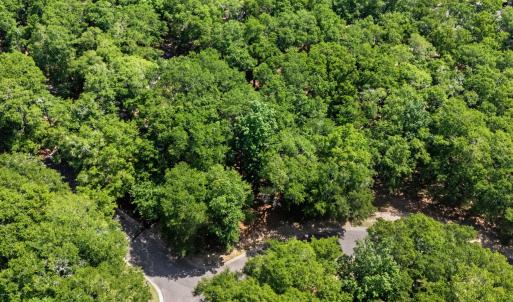 1312 Harbour Watch Lot 3