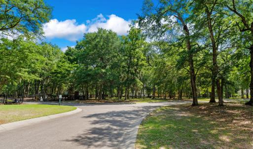 1312 Harbour Watch Lot 6