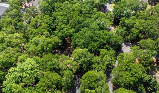 1312 Harbour Watch Lot 5