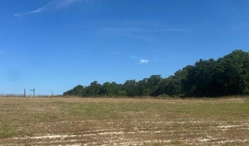 Back of lot looking to the right