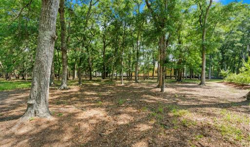 1314 Harbour Watch Lot 13