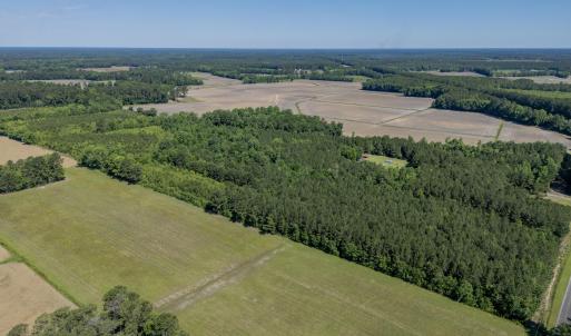 DJI_0113