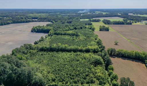DJI_0115