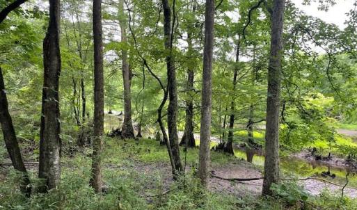 GENTLY SLOPPING TO HAMMOND CREEK