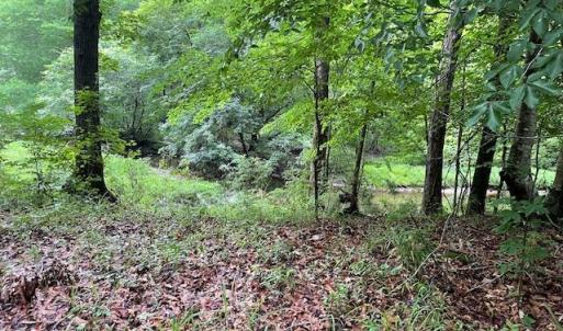 CREEK FEEDING HAMMOND CREEK