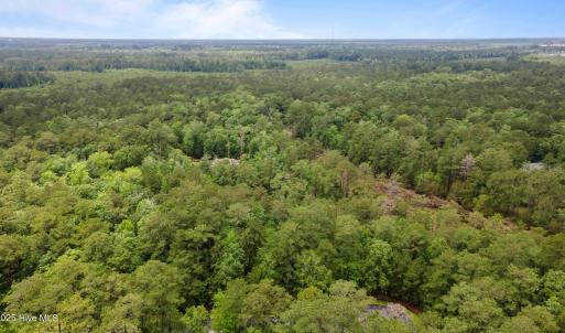 3-web-or-mls-DJI_0045