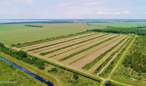DJI_0087 (1)