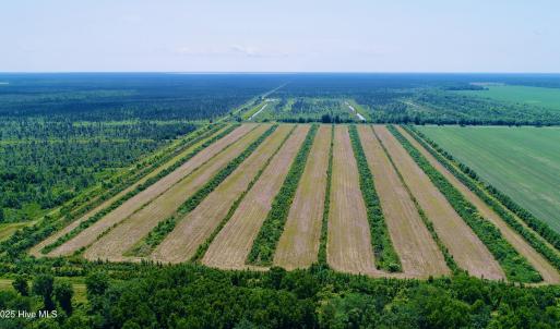 DJI_0095