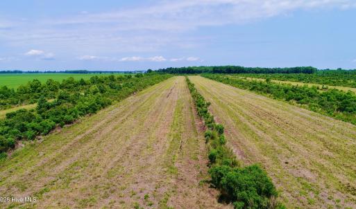 DJI_0098