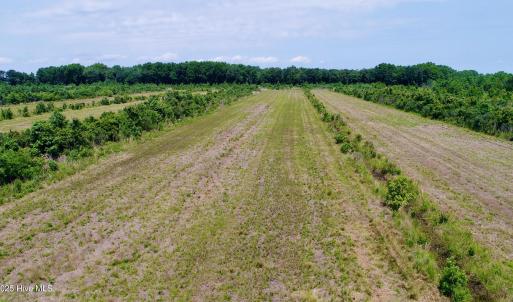 DJI_0115