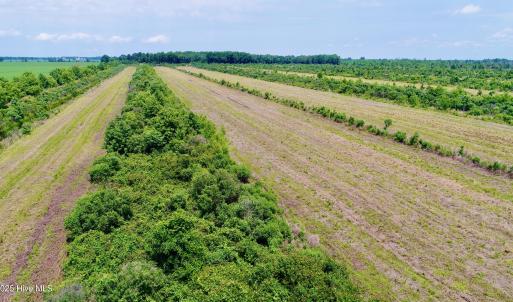 DJI_0124