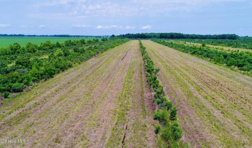 DJI_0126