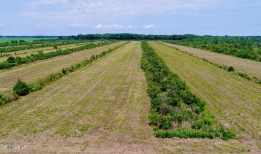 DJI_0130