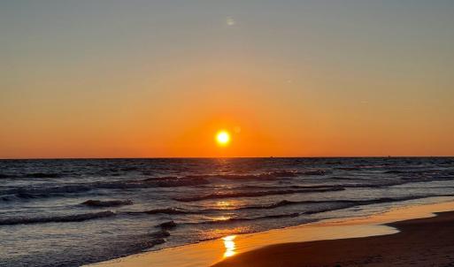 Oak Island 2021 (3)