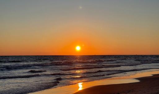 Oak Island 2021 (3)