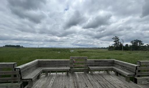 Scenic Area Boardwalk