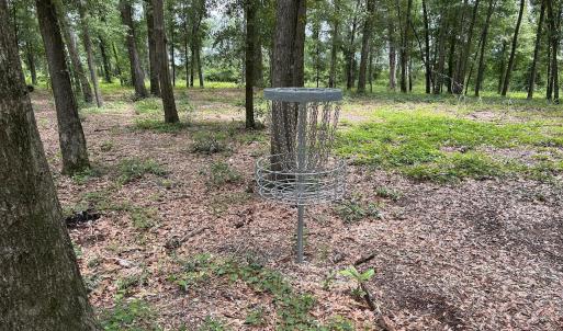 Disc Golf