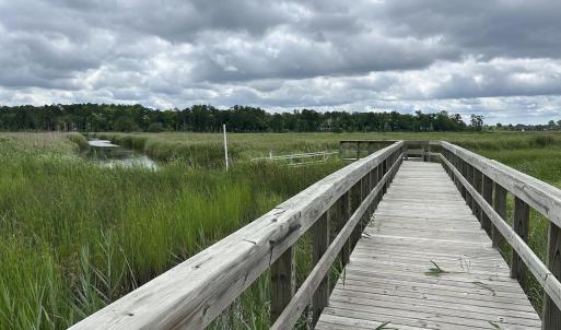 Boardwalk to Kayak Launch