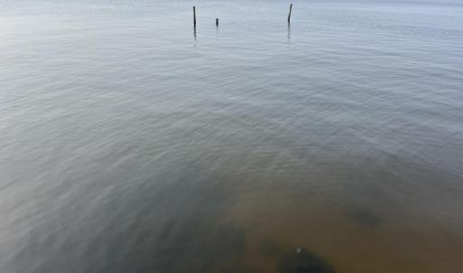 River Shot