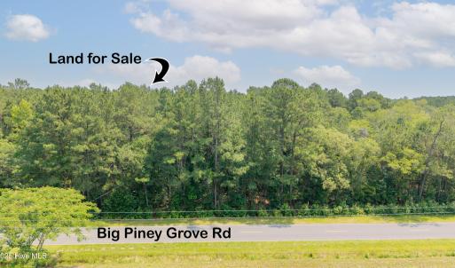 Big Piney Grove Rd Acres6