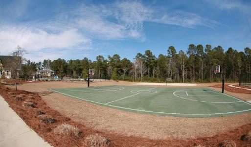 basketball and volleyball