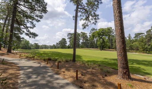 golf course view1