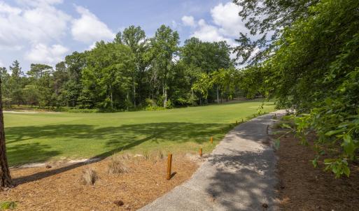 golf course view2