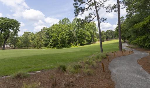 golf course view3