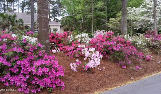 Azleas Ocean Ridge Plantation