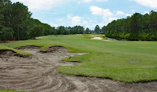 Up the Fairway