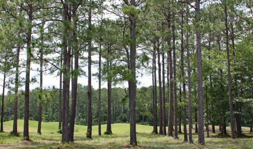 Castlebrook Way Homesite