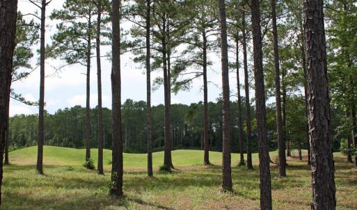 Golf Homesite