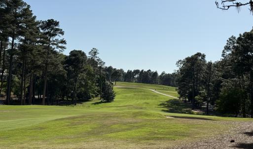 Looking up 1st fairway south course