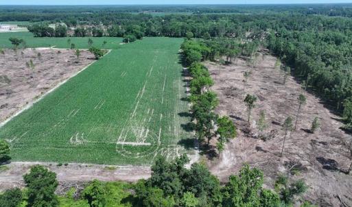 DJI_20250604162147_0530_D