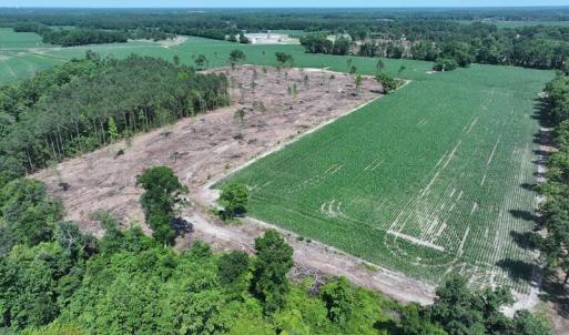 DJI_20250604162154_0531_D