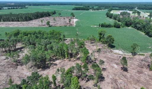 DJI_20250604162303_0534_D