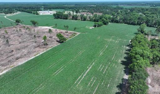 DJI_20250604162220_0532_D